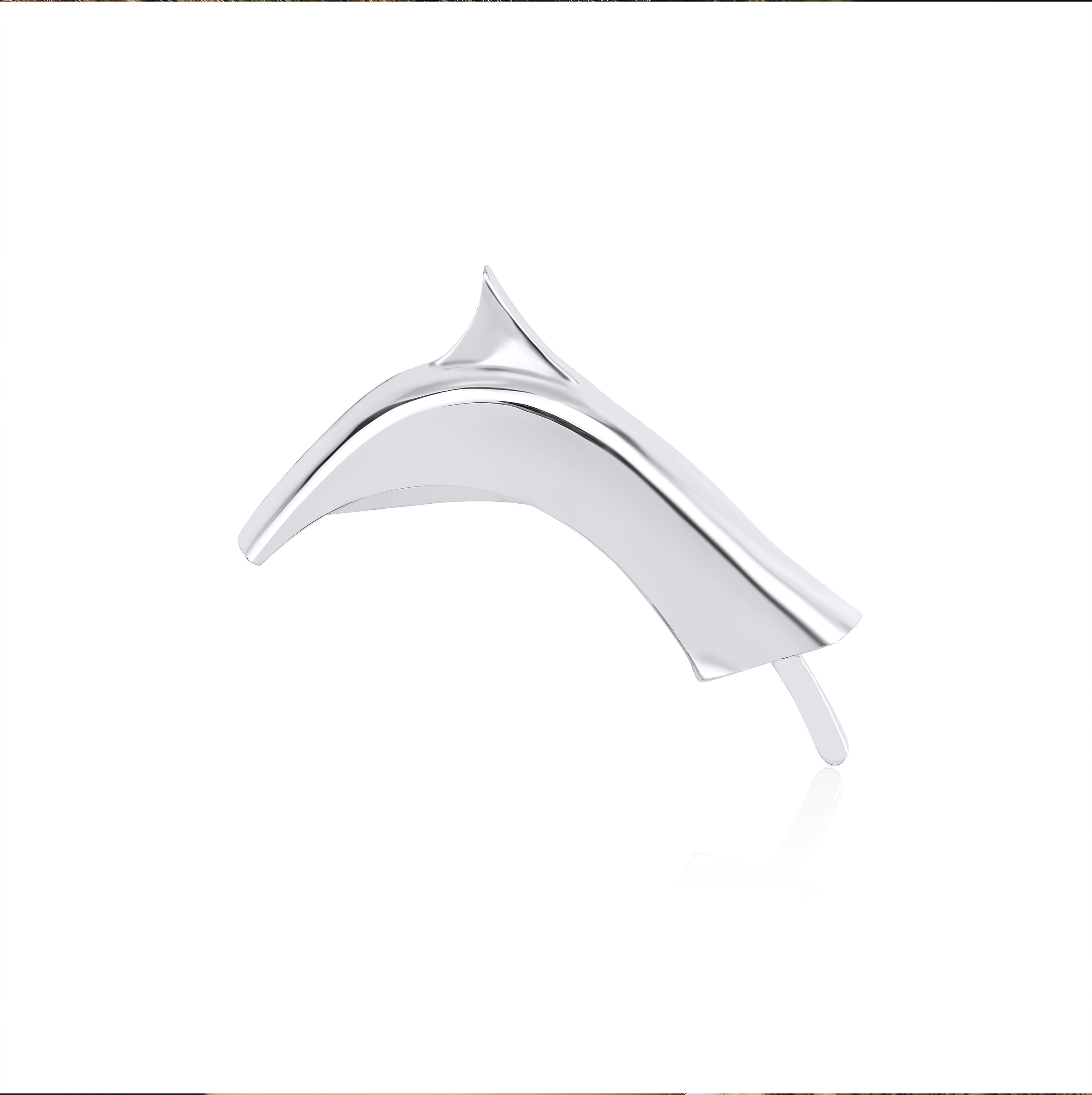 Edi Kıkırdak Küpe