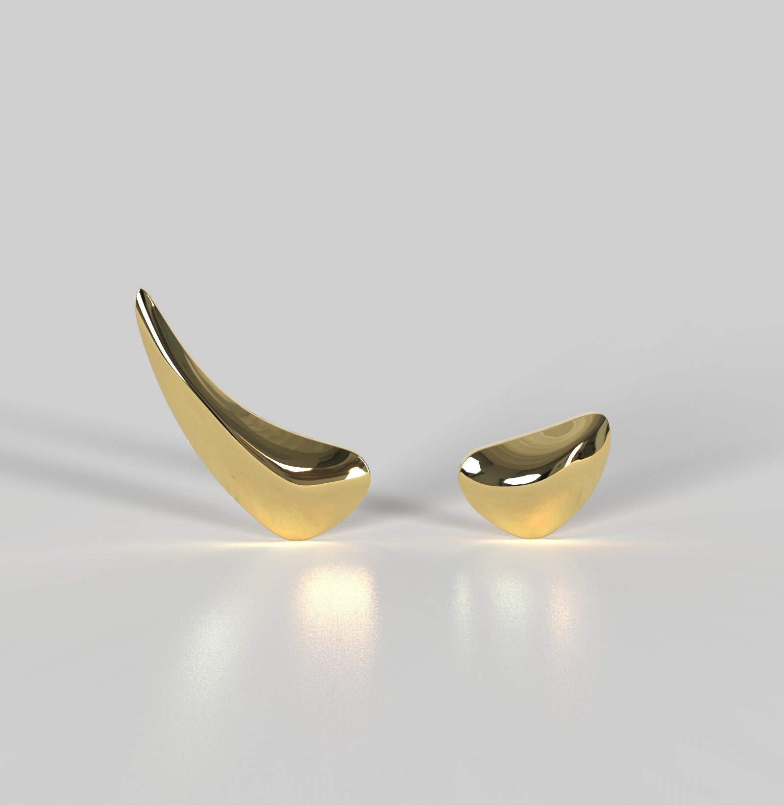 Amo Kıkırdak Küpe